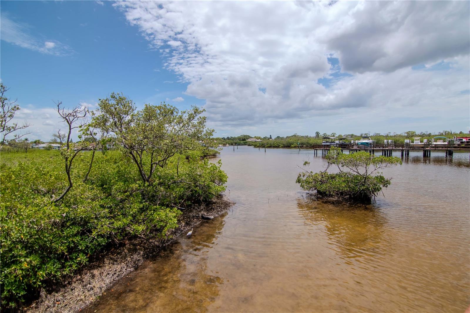 4516 SEAGULL DR #916, NEW PORT RICHEY, FL, 34652