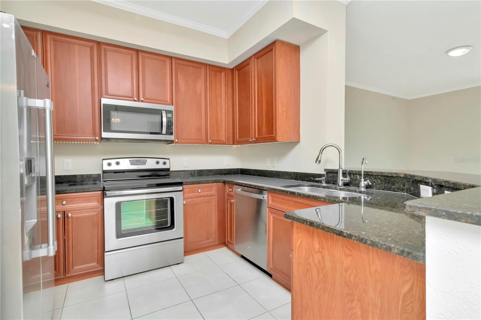 4516 SEAGULL DR #916, NEW PORT RICHEY, FL, 34652