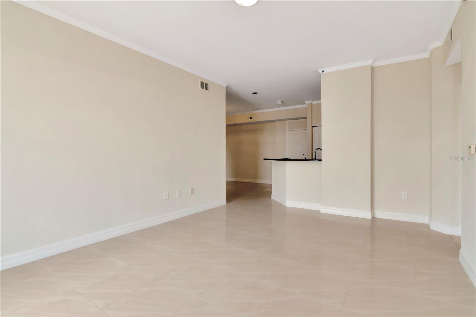 4516 SEAGULL DR #916, NEW PORT RICHEY, FL, 34652