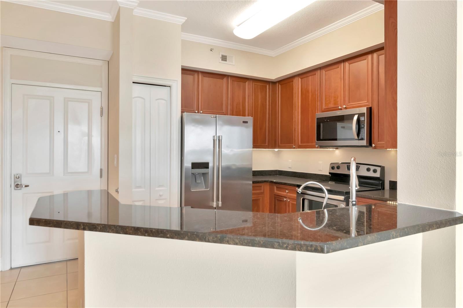 4516 SEAGULL DR #916, NEW PORT RICHEY, FL, 34652