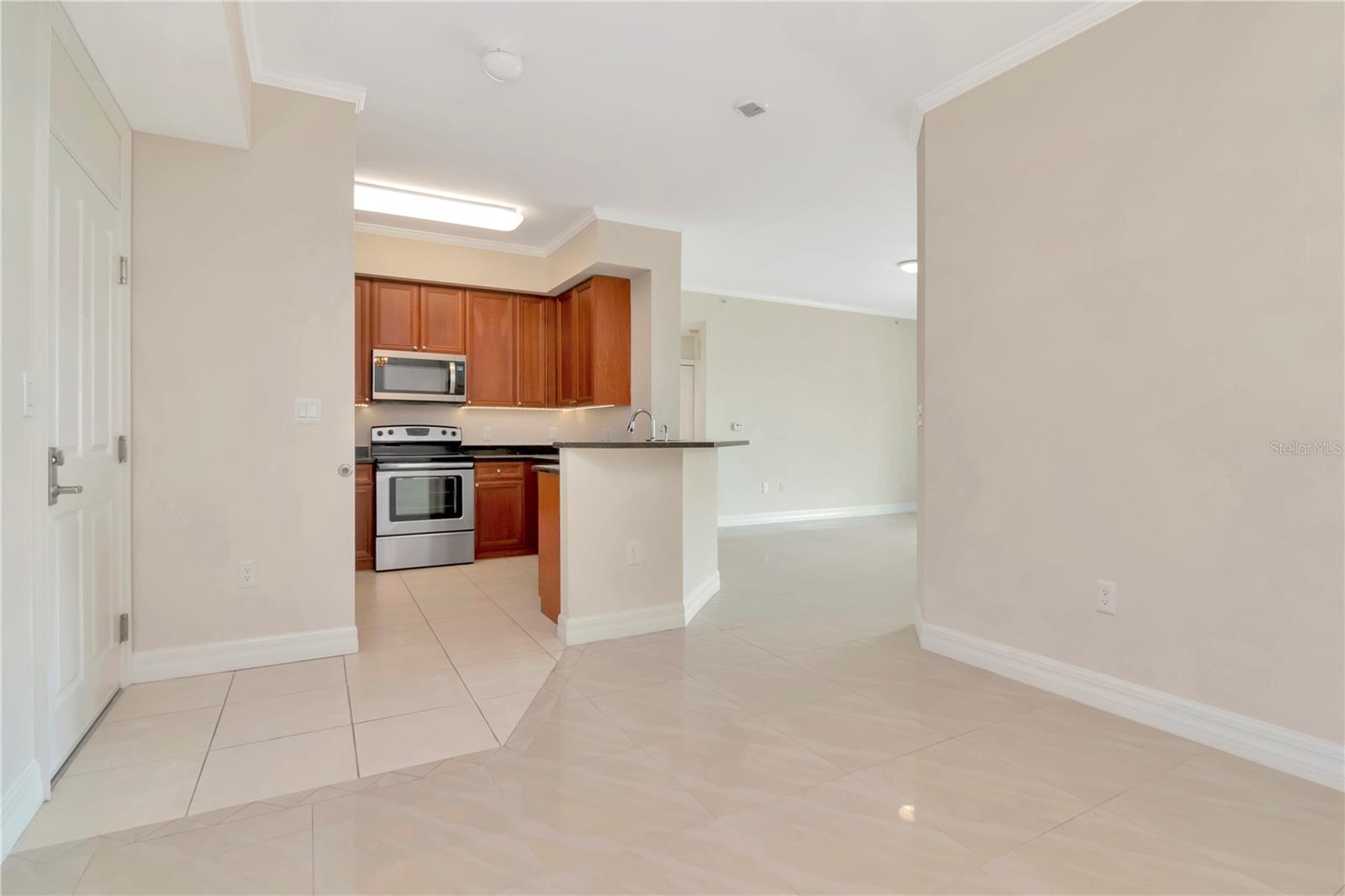 4516 SEAGULL DR #916, NEW PORT RICHEY, FL, 34652