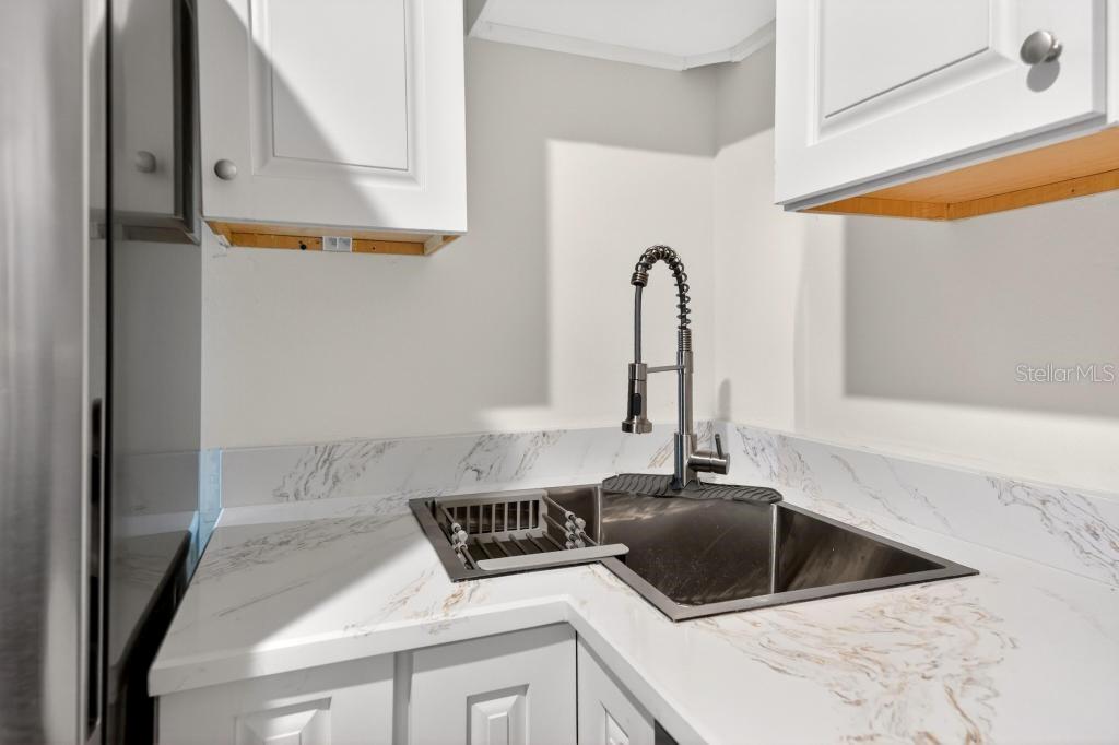 33470 ALWAYS DREAMING CT, SORRENTO, FL, 32776