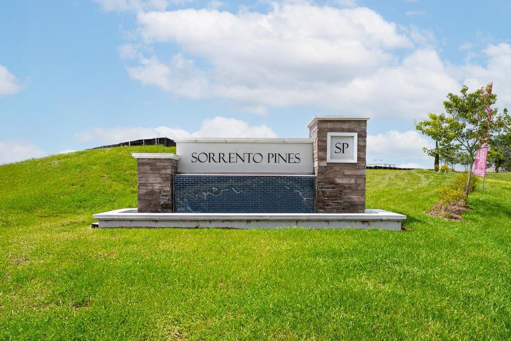 33470 ALWAYS DREAMING CT, SORRENTO, FL, 32776