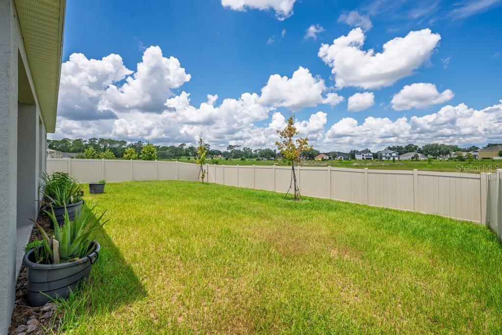 33470 ALWAYS DREAMING CT, SORRENTO, FL, 32776