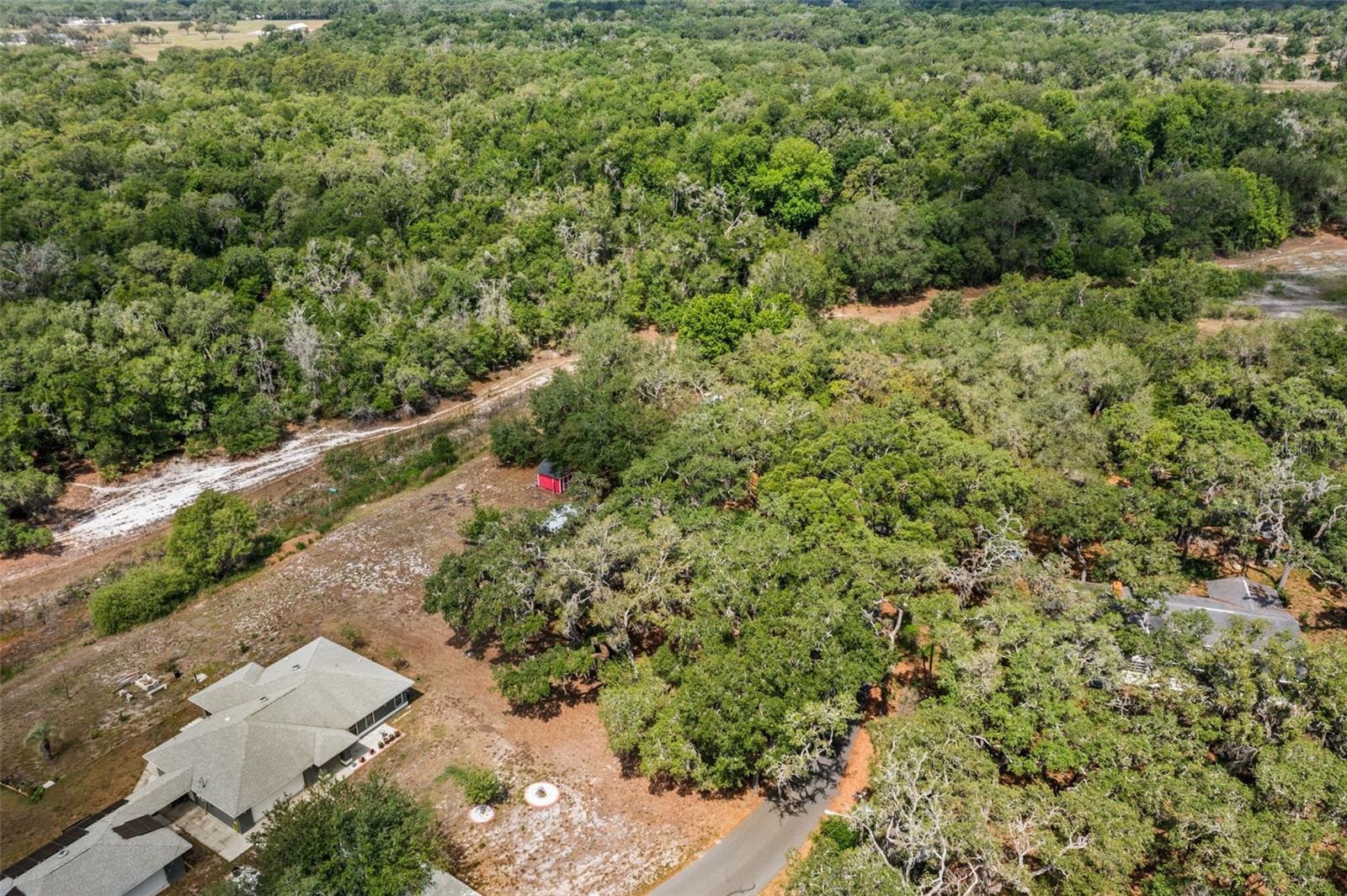 34575 ORCHID PKWY, DADE CITY, FL, 33523