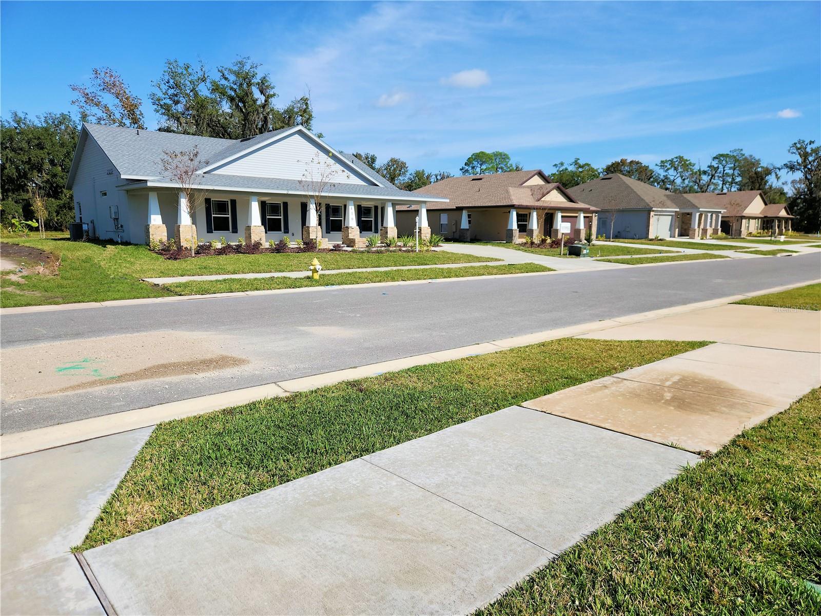 411 SHANNON ESTATES CT, PLANT CITY, FL, 33563