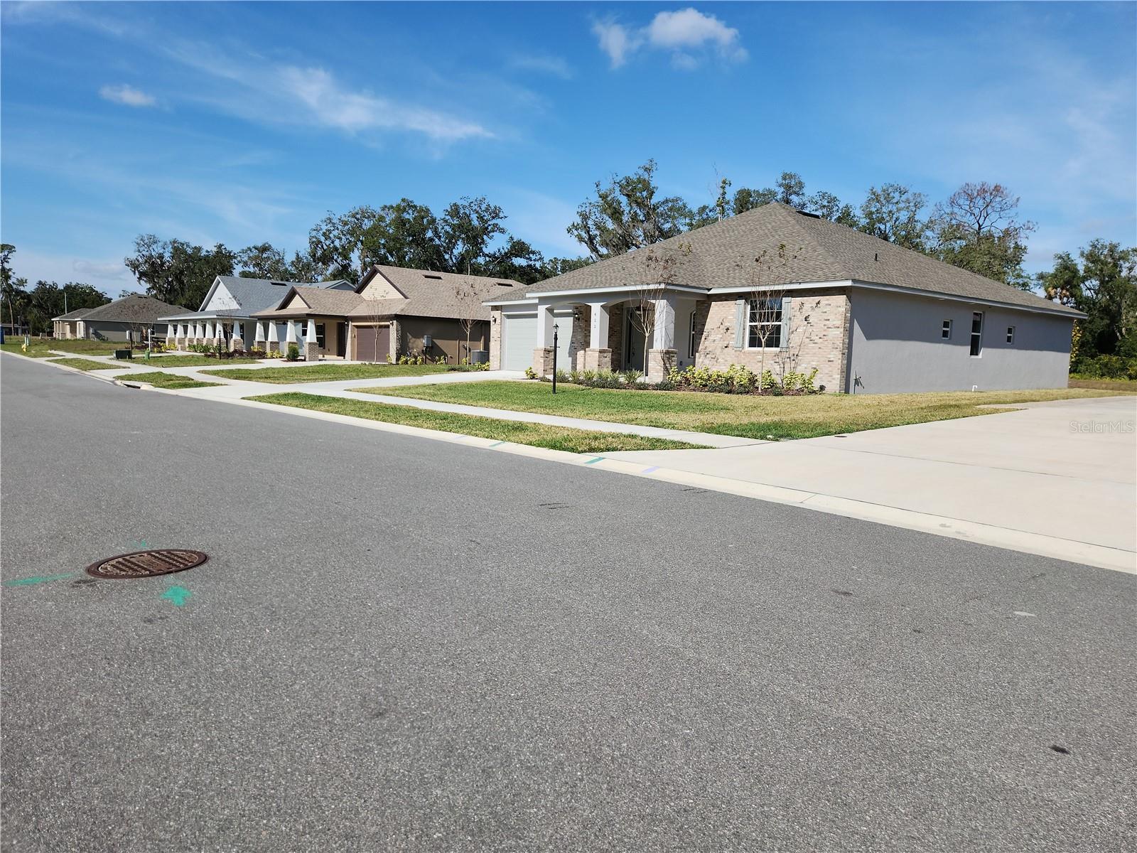 411 SHANNON ESTATES CT, PLANT CITY, FL, 33563