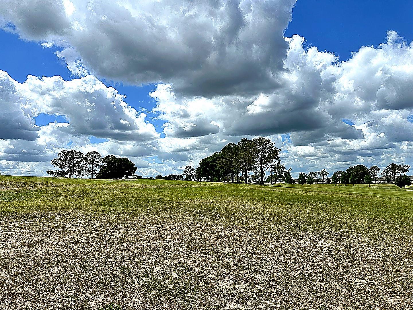 3496 GREENBLUFF RD #1118, ZELLWOOD, FL, 32798