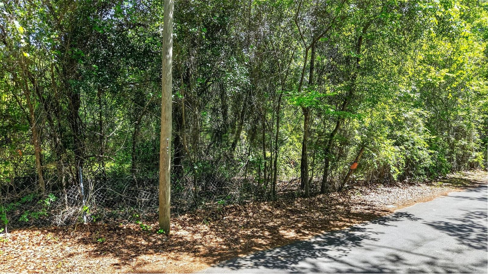 TBD SE 2ND AVE, GAINESVILLE, FL, 32601