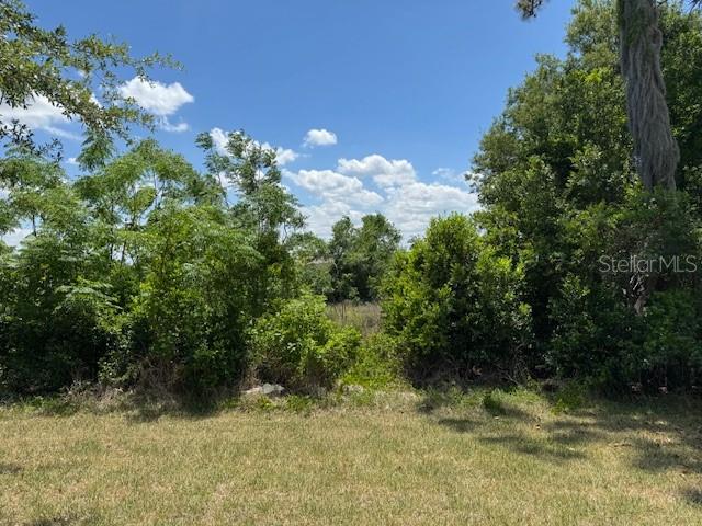 3200 WINGED FOOT RD, MOUNT DORA, FL, 32757