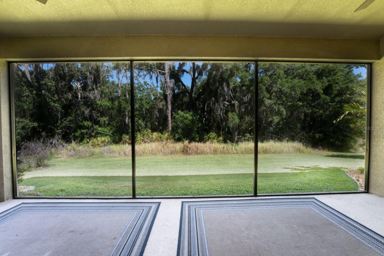 13235 WILDFLOWER MEADOW DR, RIVERVIEW, FL, 33579