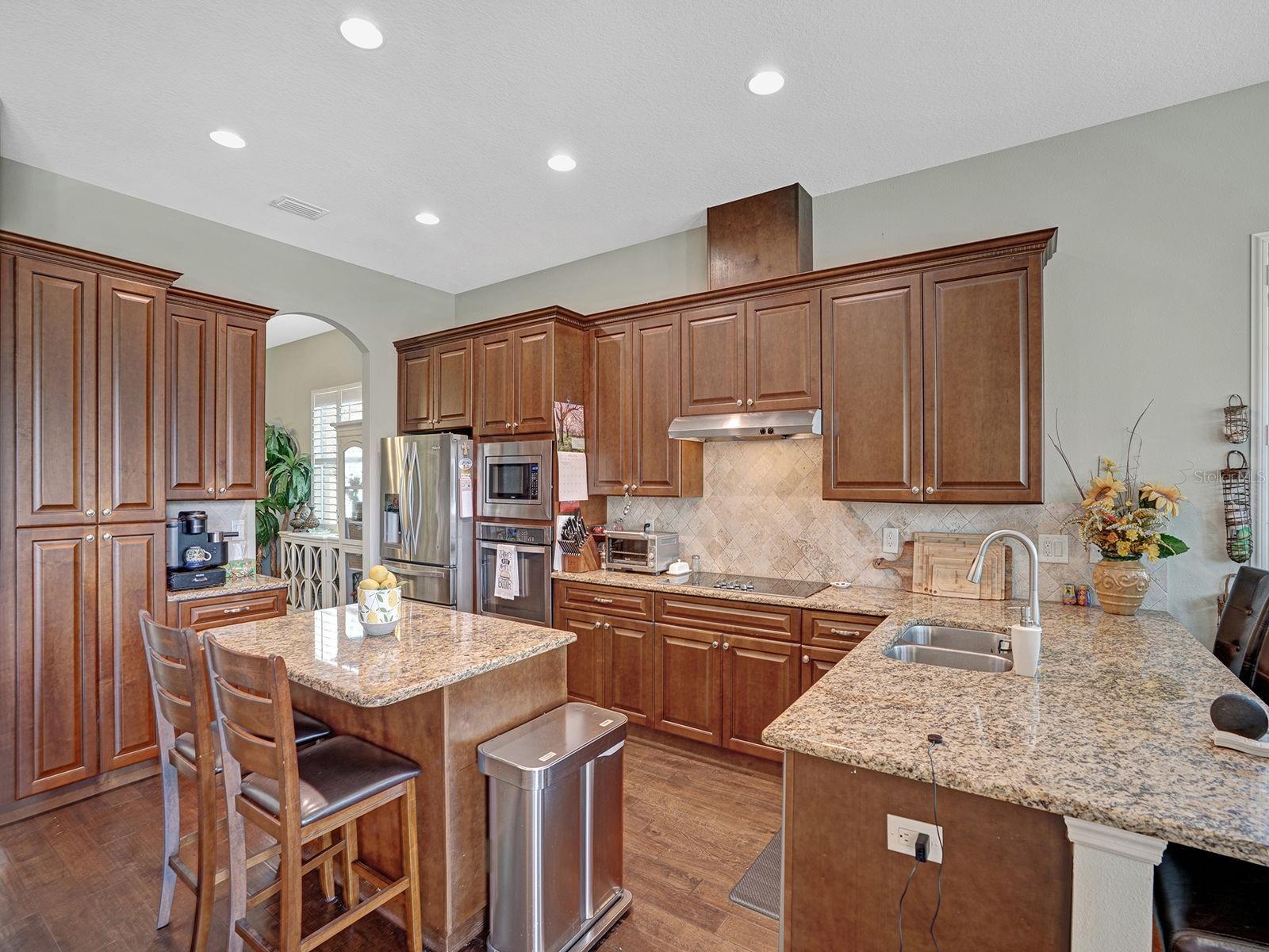 13422 NITI DR, HUDSON, FL, 34669