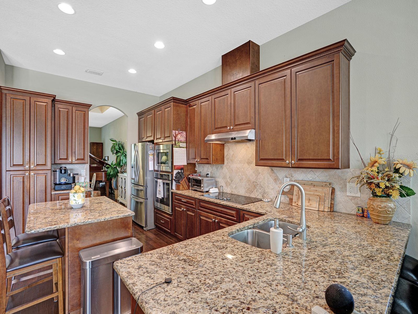 13422 NITI DR, HUDSON, FL, 34669