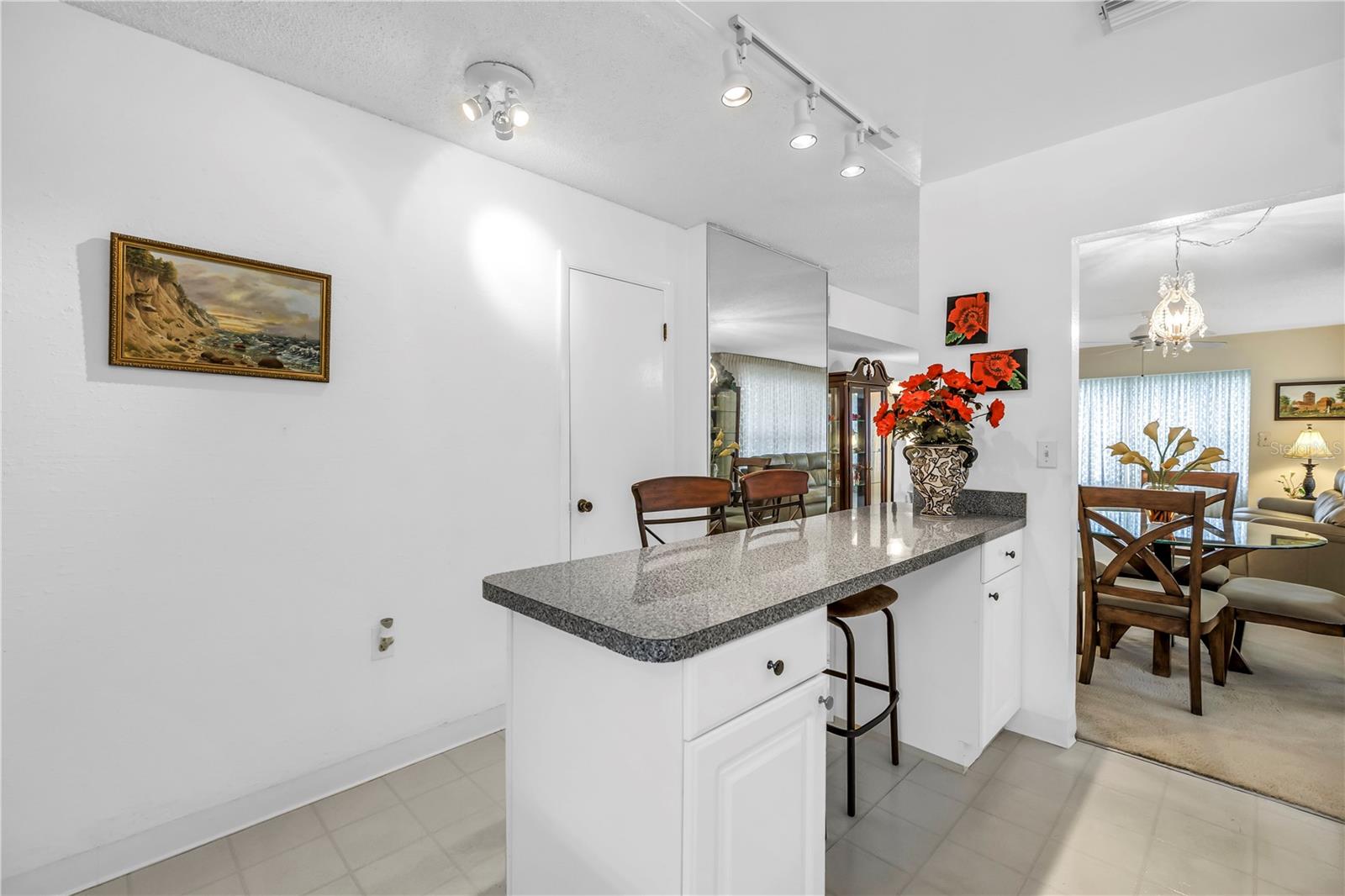 9950 62ND TER N #209, ST PETERSBURG, FL, 33708