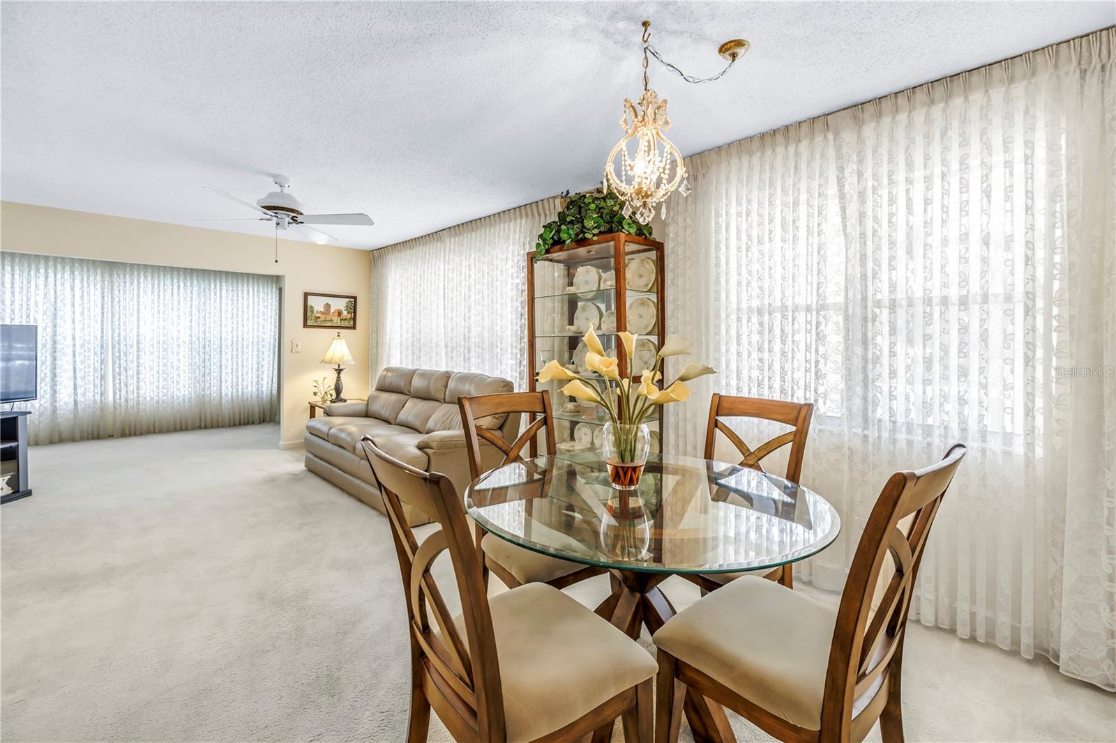 9950 62ND TER N #209, ST PETERSBURG, FL, 33708
