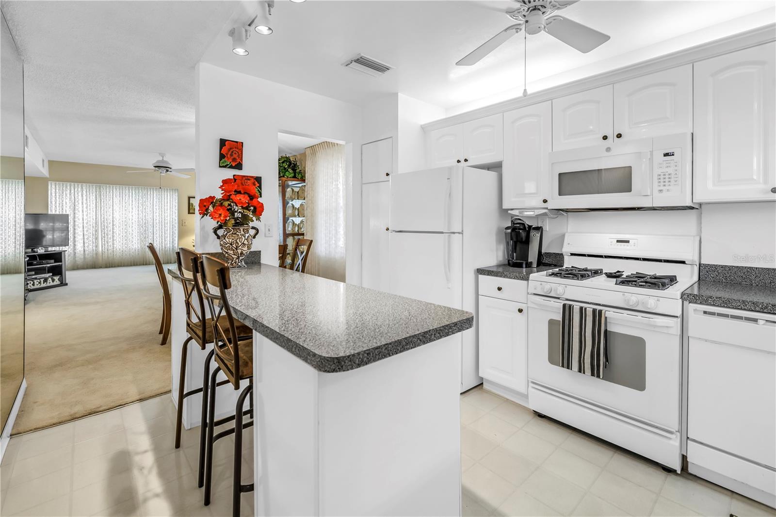 9950 62ND TER N #209, ST PETERSBURG, FL, 33708