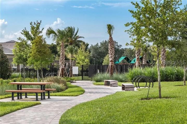 6224 ARALIA IVY LN, WINTER GARDEN, FL, 34787