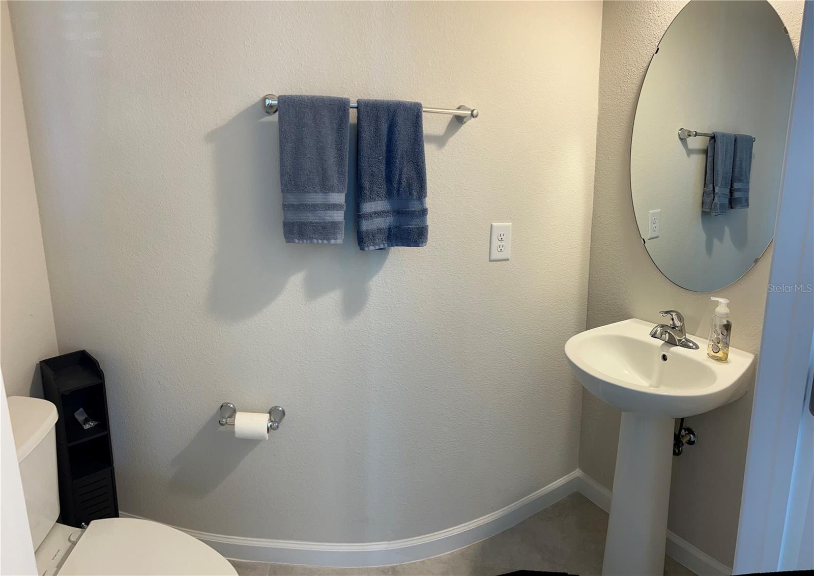 6224 ARALIA IVY LN, WINTER GARDEN, FL, 34787