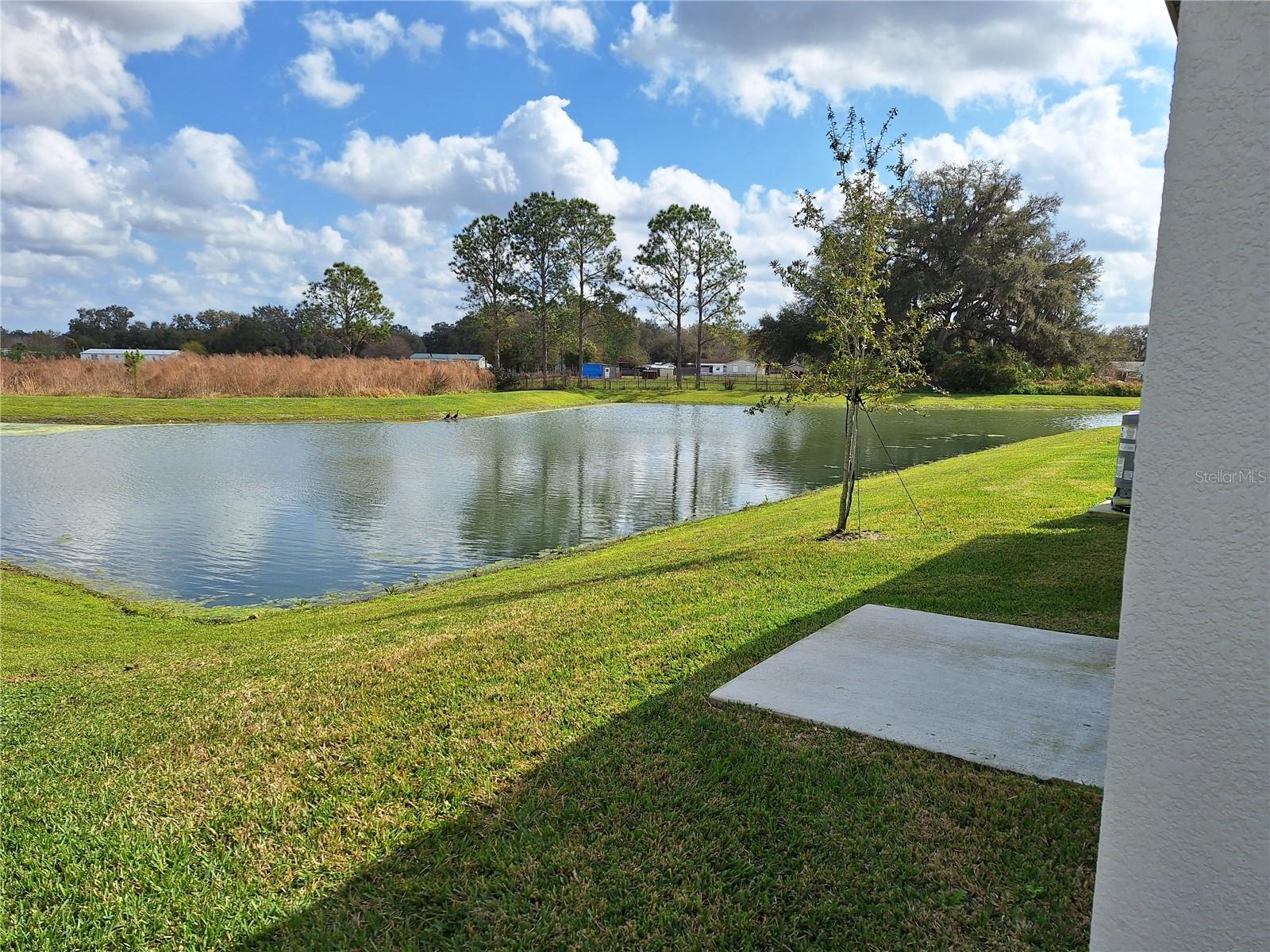 34609 TELLURIDE LN, ZEPHYRHILLS, FL, 33541