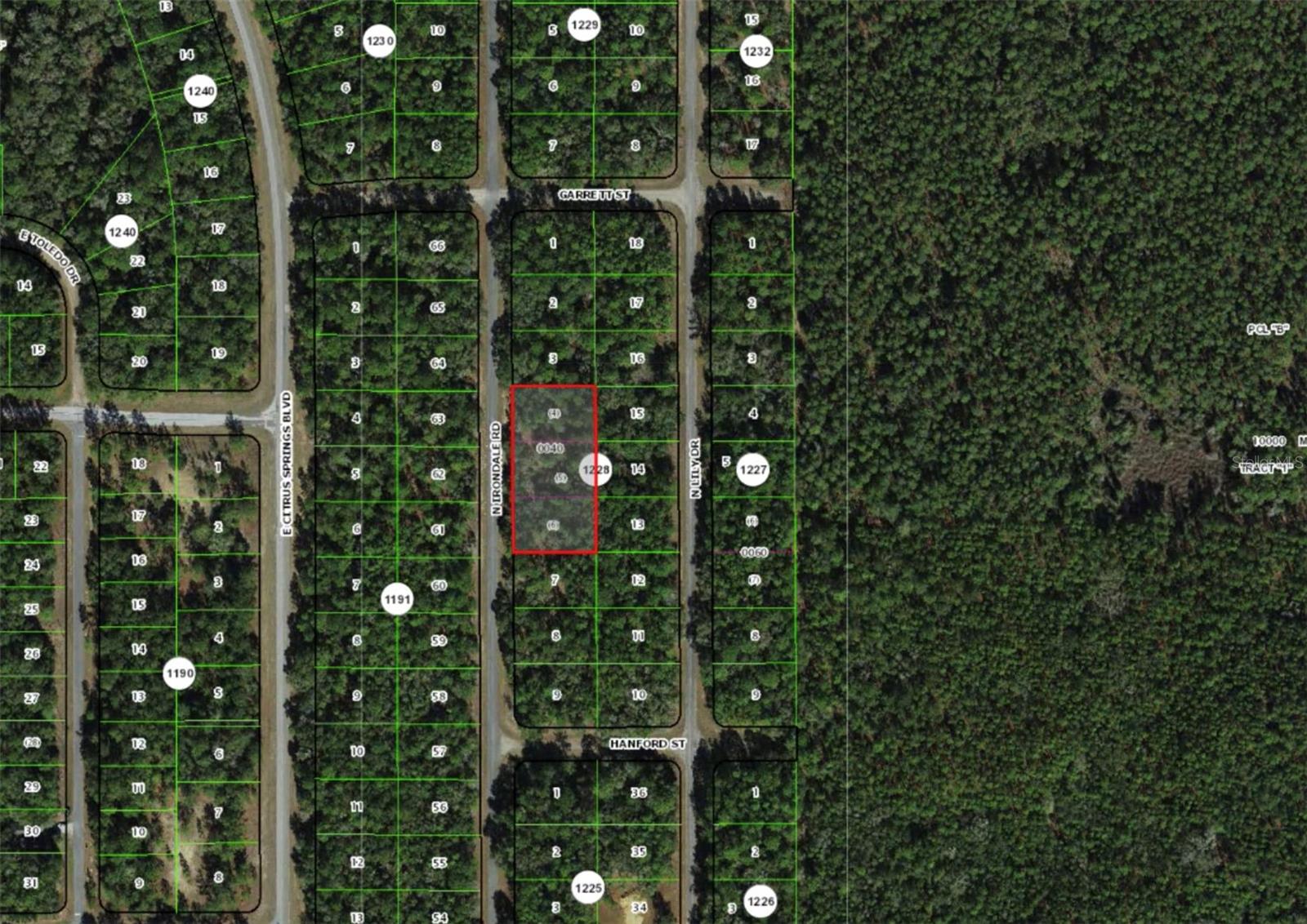 9285 N IRONDALE RD, DUNNELLON, FL, 34434