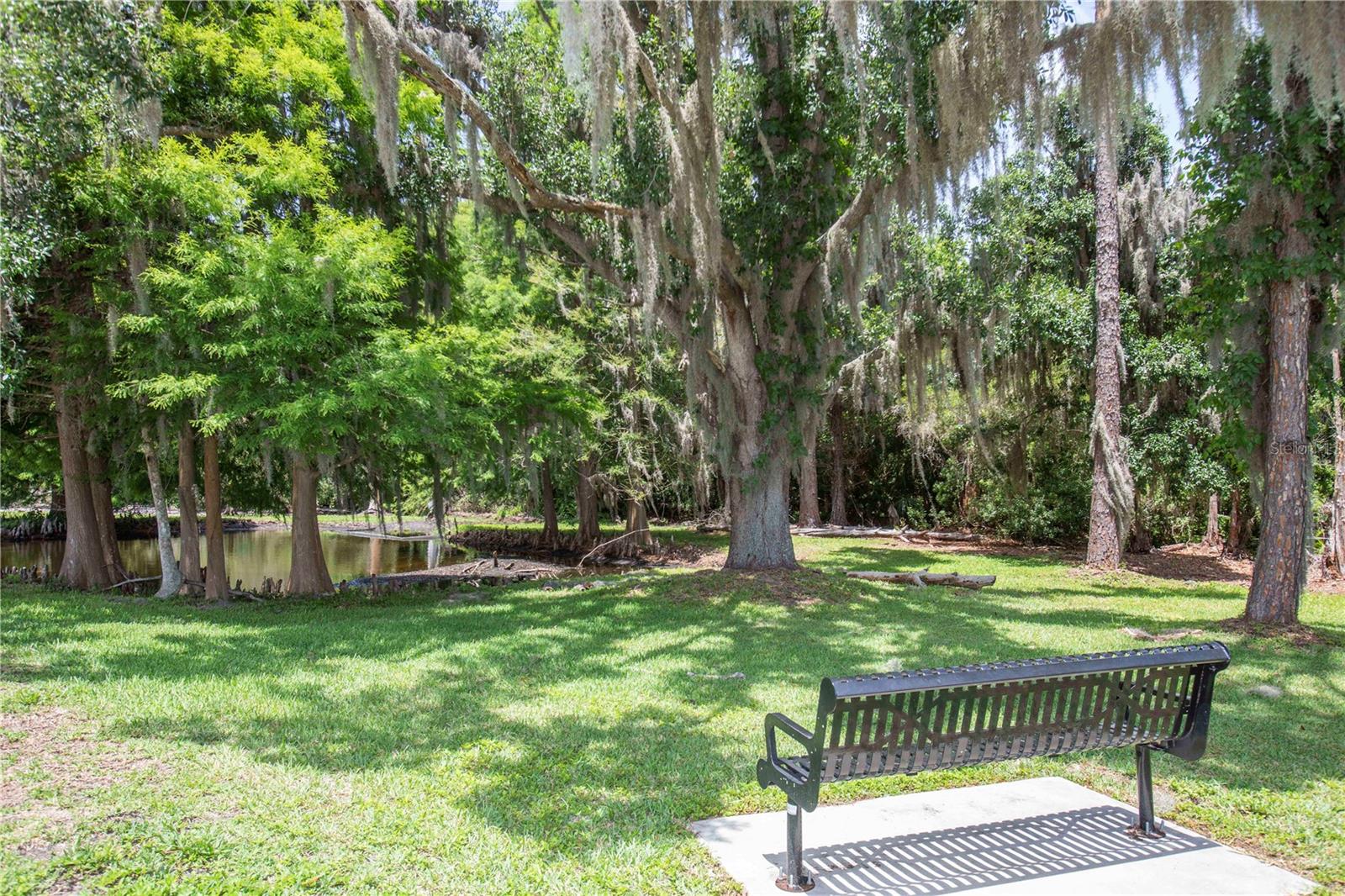 3746 DOGTROT ST, NEW PORT RICHEY, FL, 34655