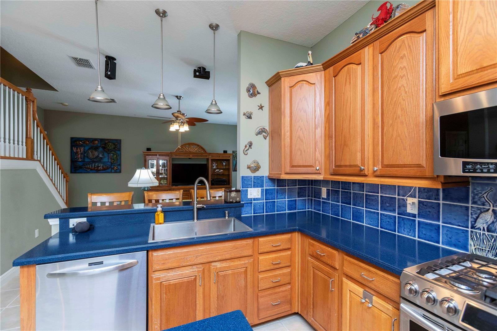 3746 DOGTROT ST, NEW PORT RICHEY, FL, 34655