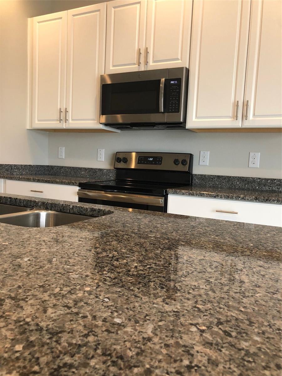 7009 GRAND ELM DR, RIVERVIEW, FL, 33578