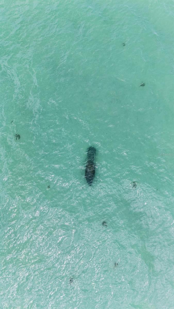 1500 GULF BLVD #204B, INDIAN ROCKS BEACH, FL, 33785