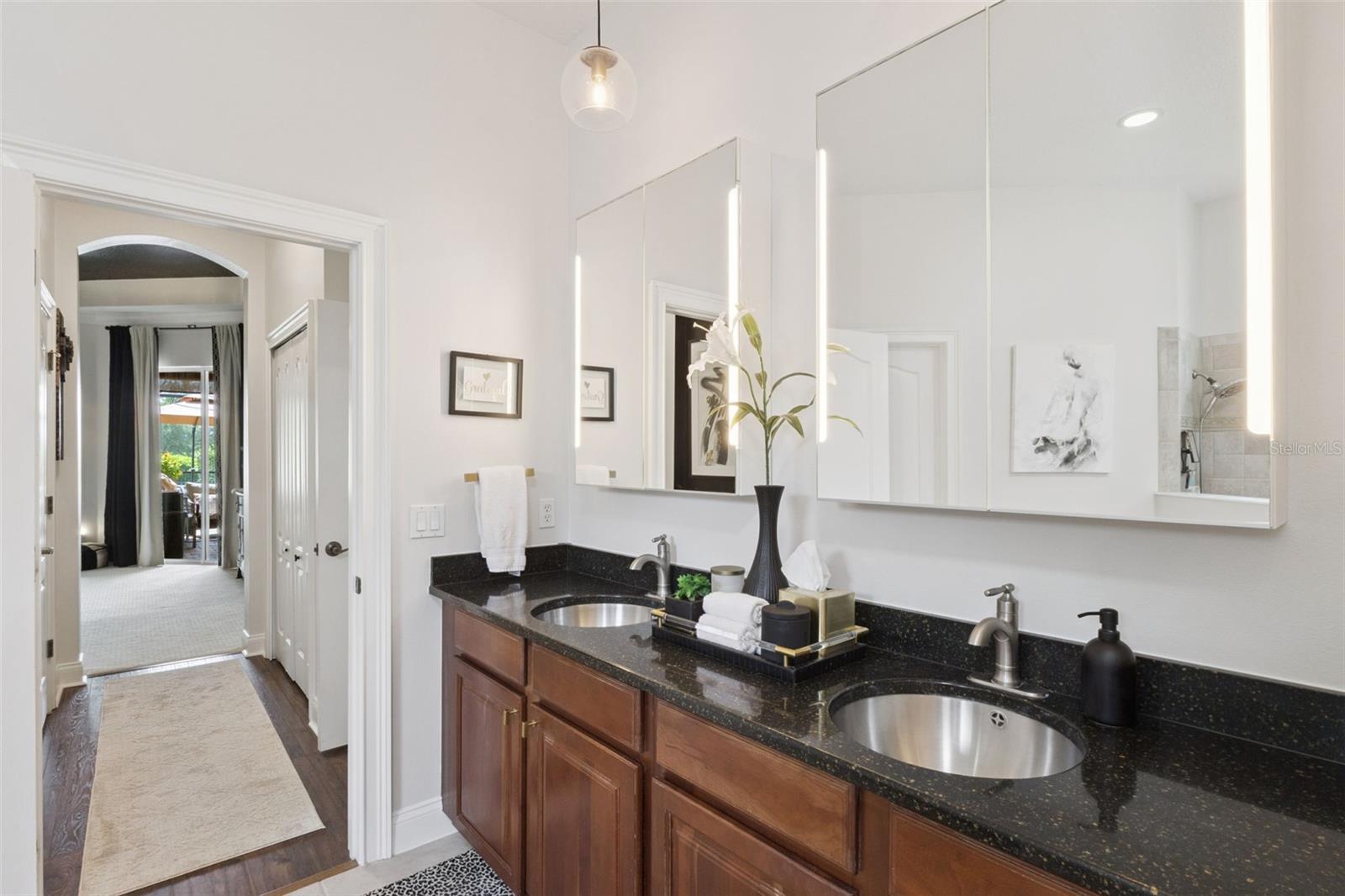 6018 TREMAYNE DR, MOUNT DORA, FL, 32757