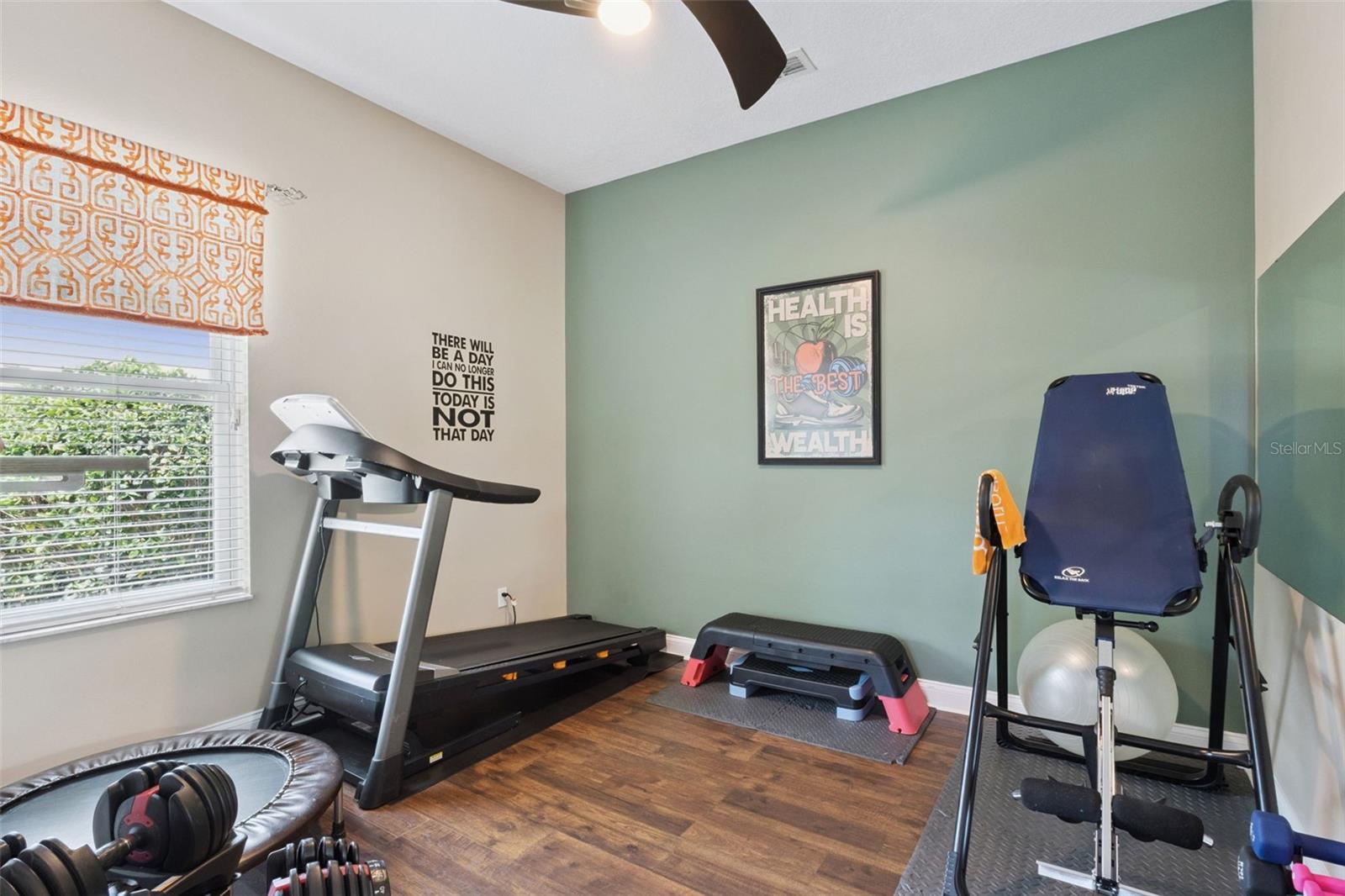 6018 TREMAYNE DR, MOUNT DORA, FL, 32757
