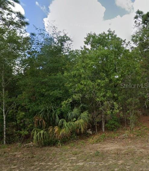 818 N KENSINGTON AVE, LECANTO, FL, 34461