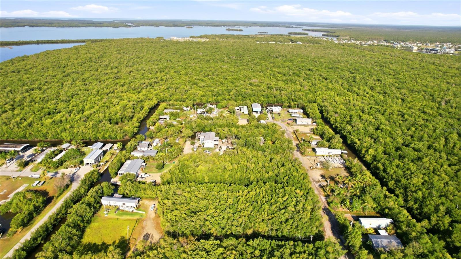 53 BEAVER LN, OCHOPEE, FL, 34141
