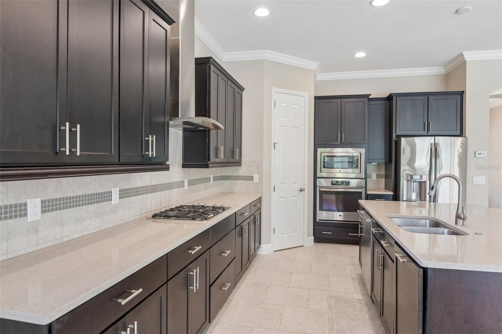 8355 SWISS CHARD CIR, LAND O LAKES, FL, 34637