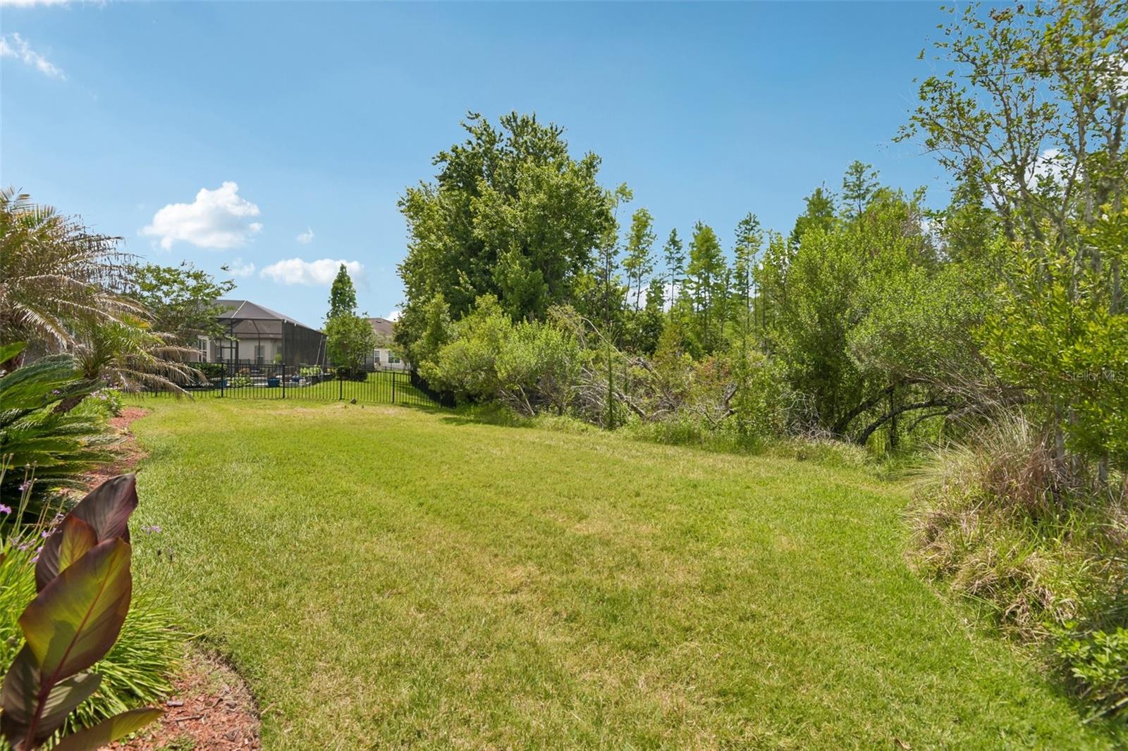 8355 SWISS CHARD CIR, LAND O LAKES, FL, 34637