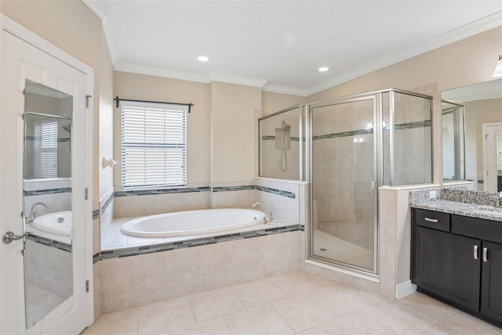 8355 SWISS CHARD CIR, LAND O LAKES, FL, 34637