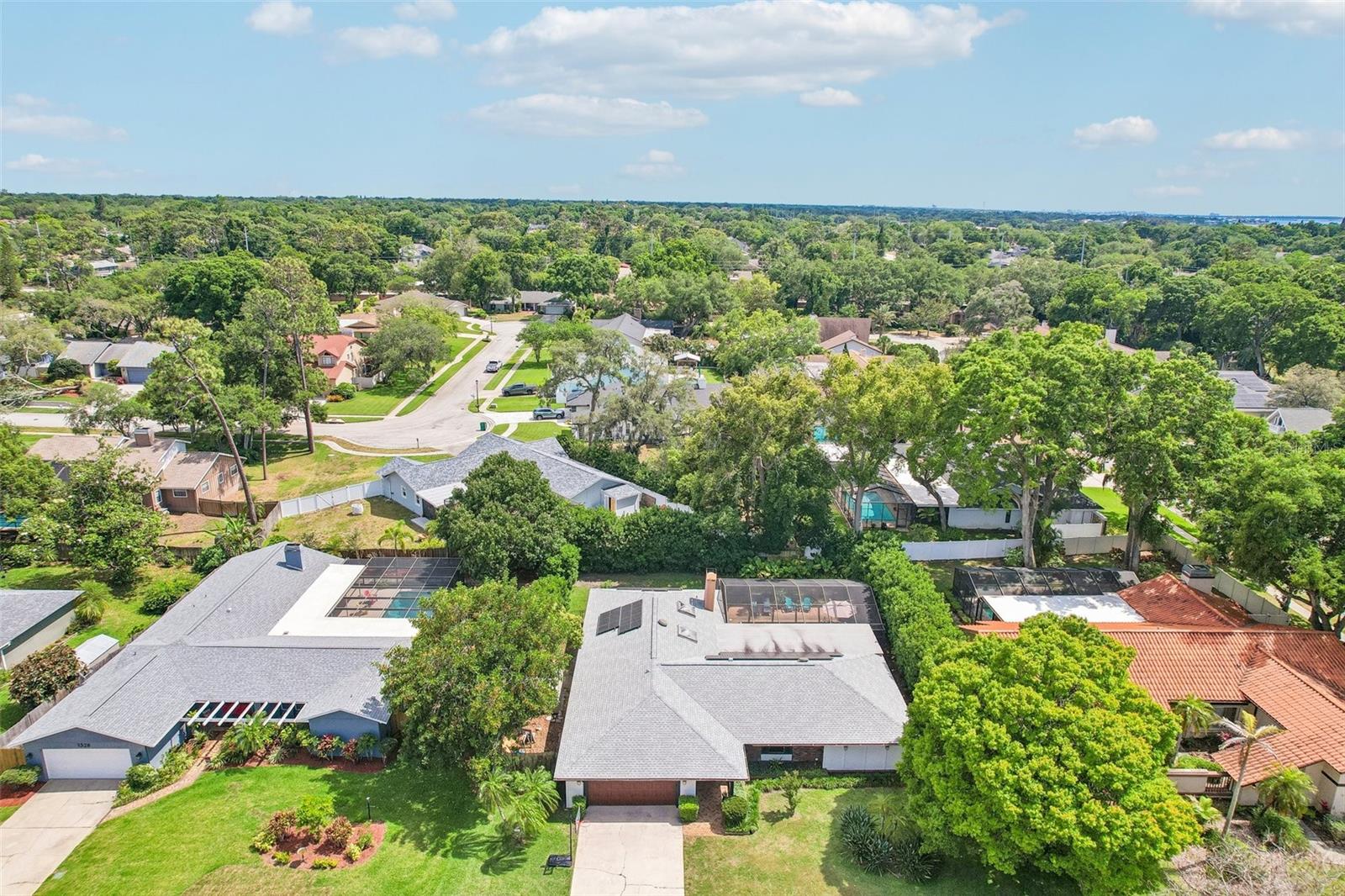 1314 ENISWOOD PKWY, PALM HARBOR, FL, 34683