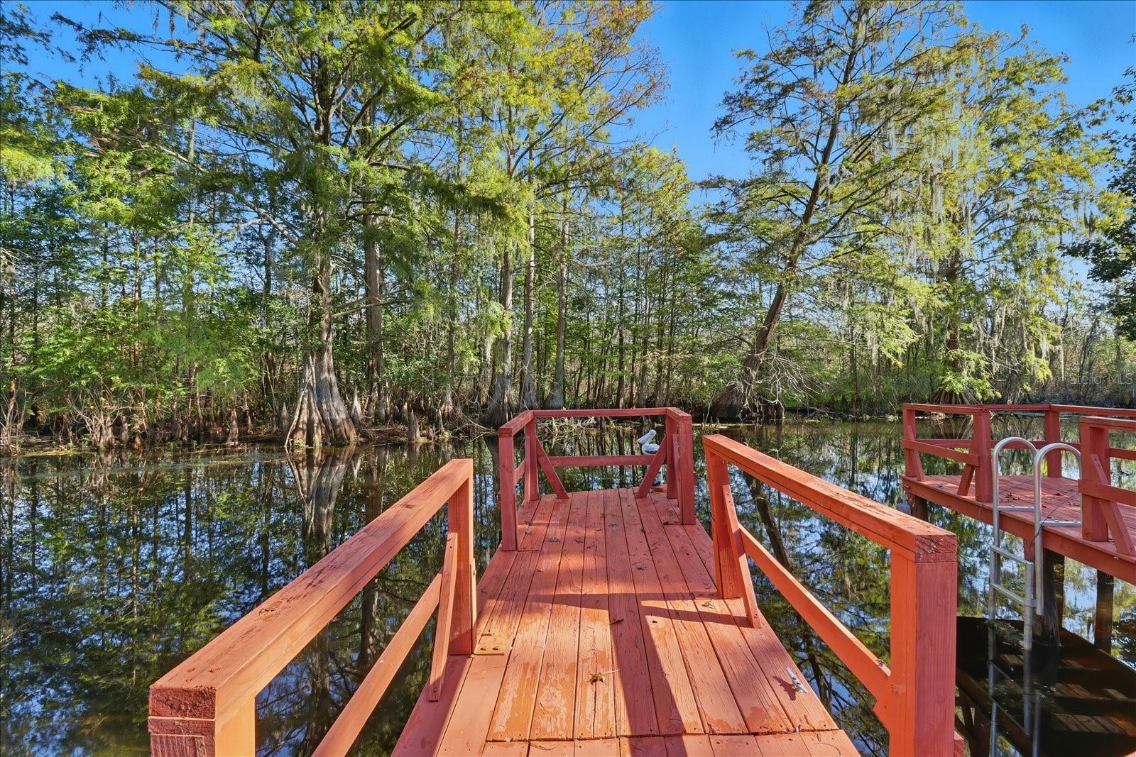 11641 E SALMON DR, FLORAL CITY, FL, 34436