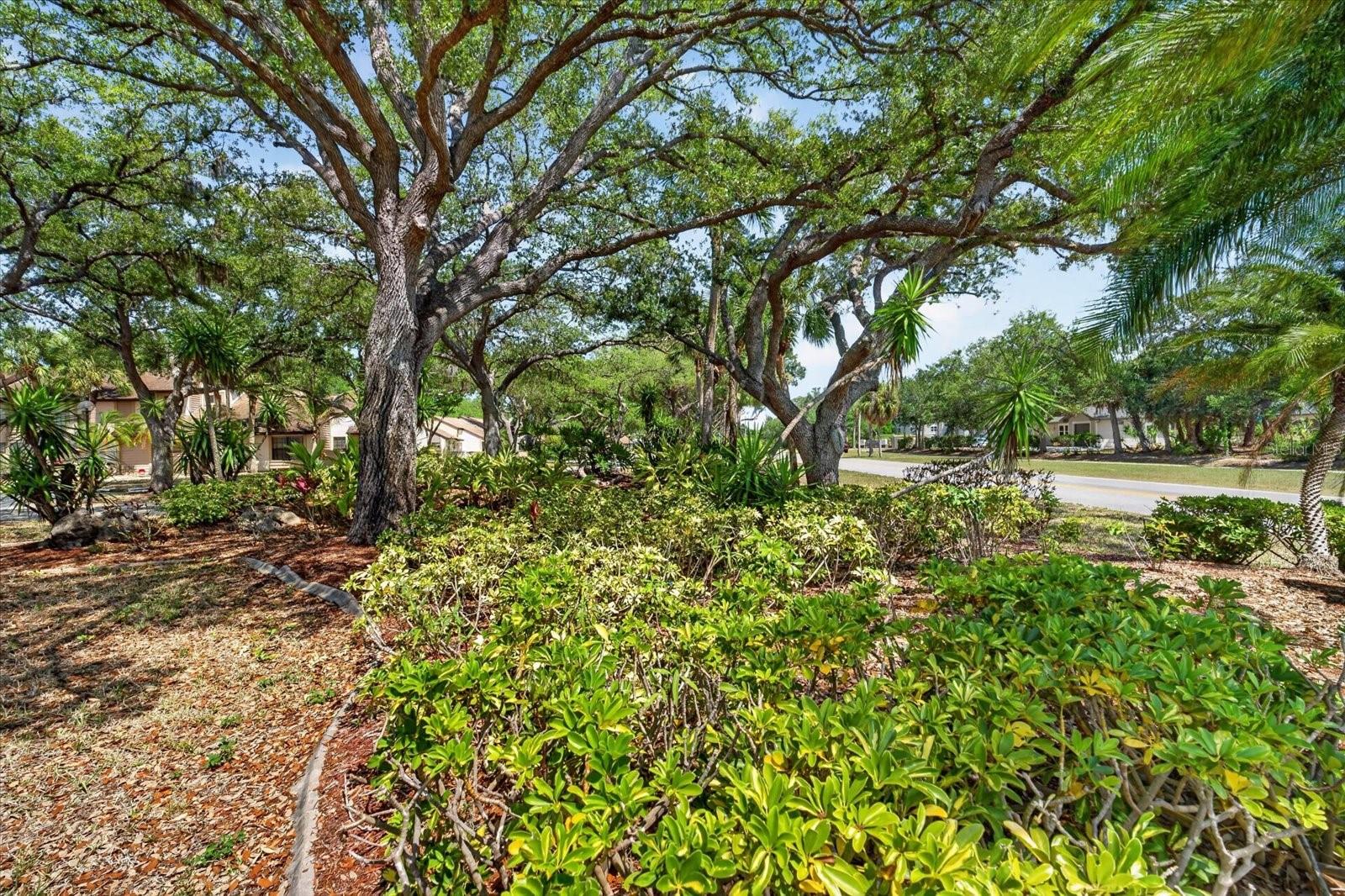 5261 BRASSY LOOP, NORTH PORT, FL, 34287
