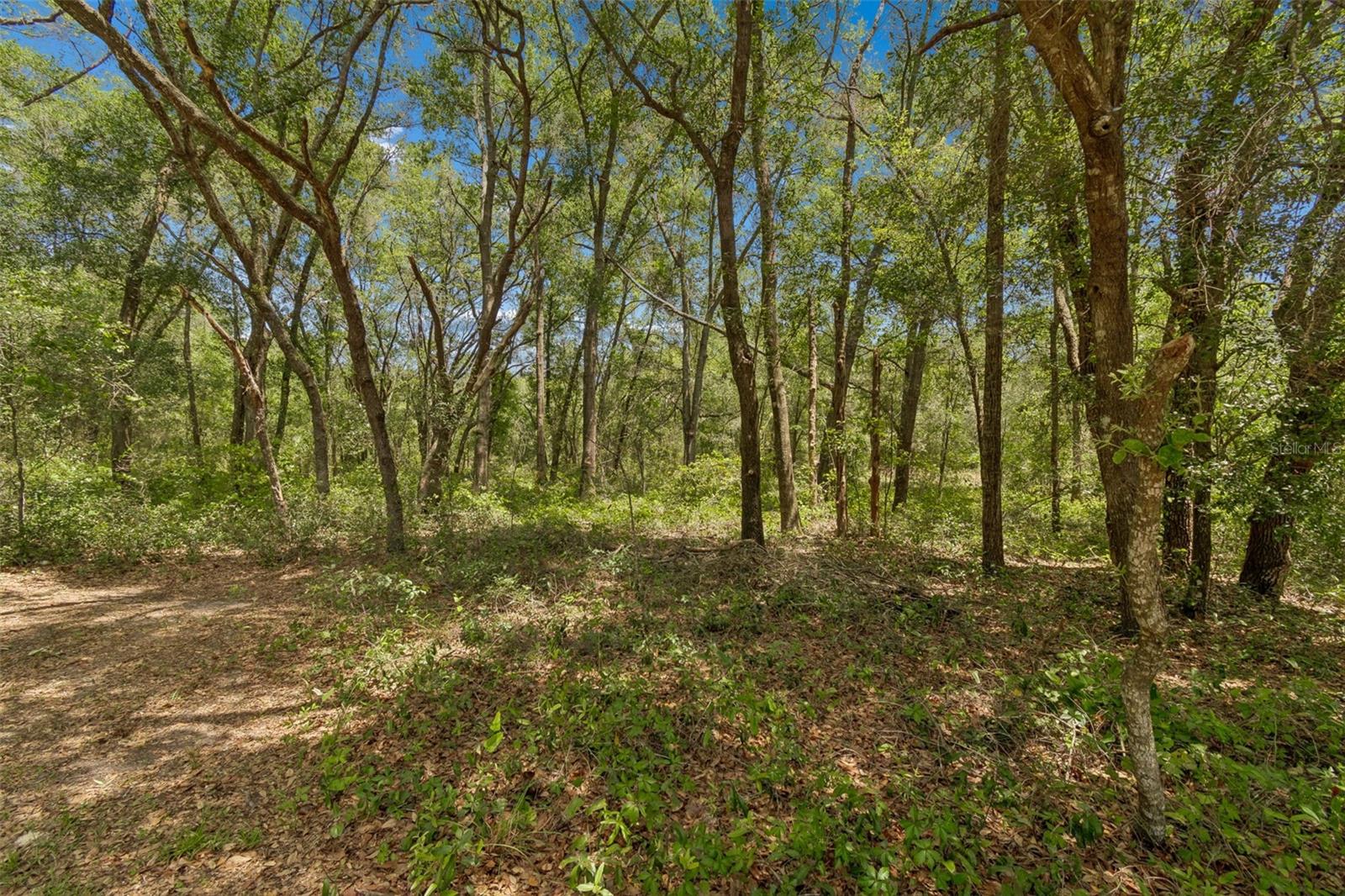 3757 E SIDE CT, INVERNESS, FL, 34453