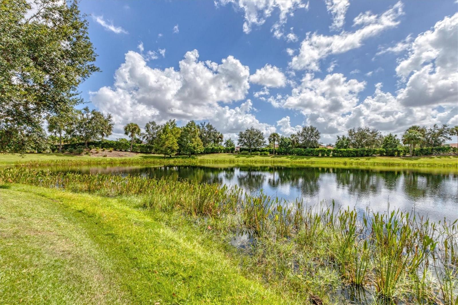 13334 TORRESINA TER, BRADENTON, FL, 34211