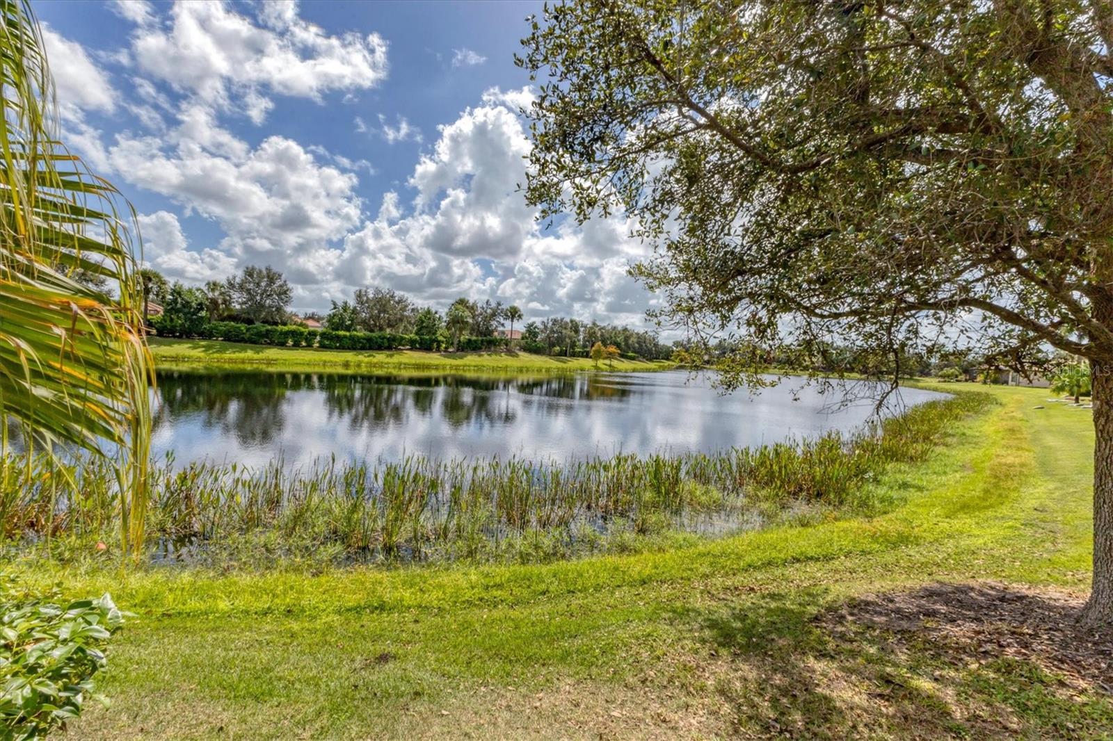 13334 TORRESINA TER, BRADENTON, FL, 34211