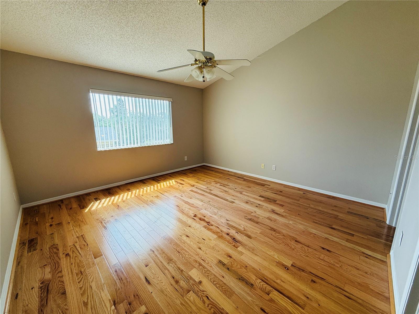 2843 THAXTON DR #38, PALM HARBOR, FL, 34684