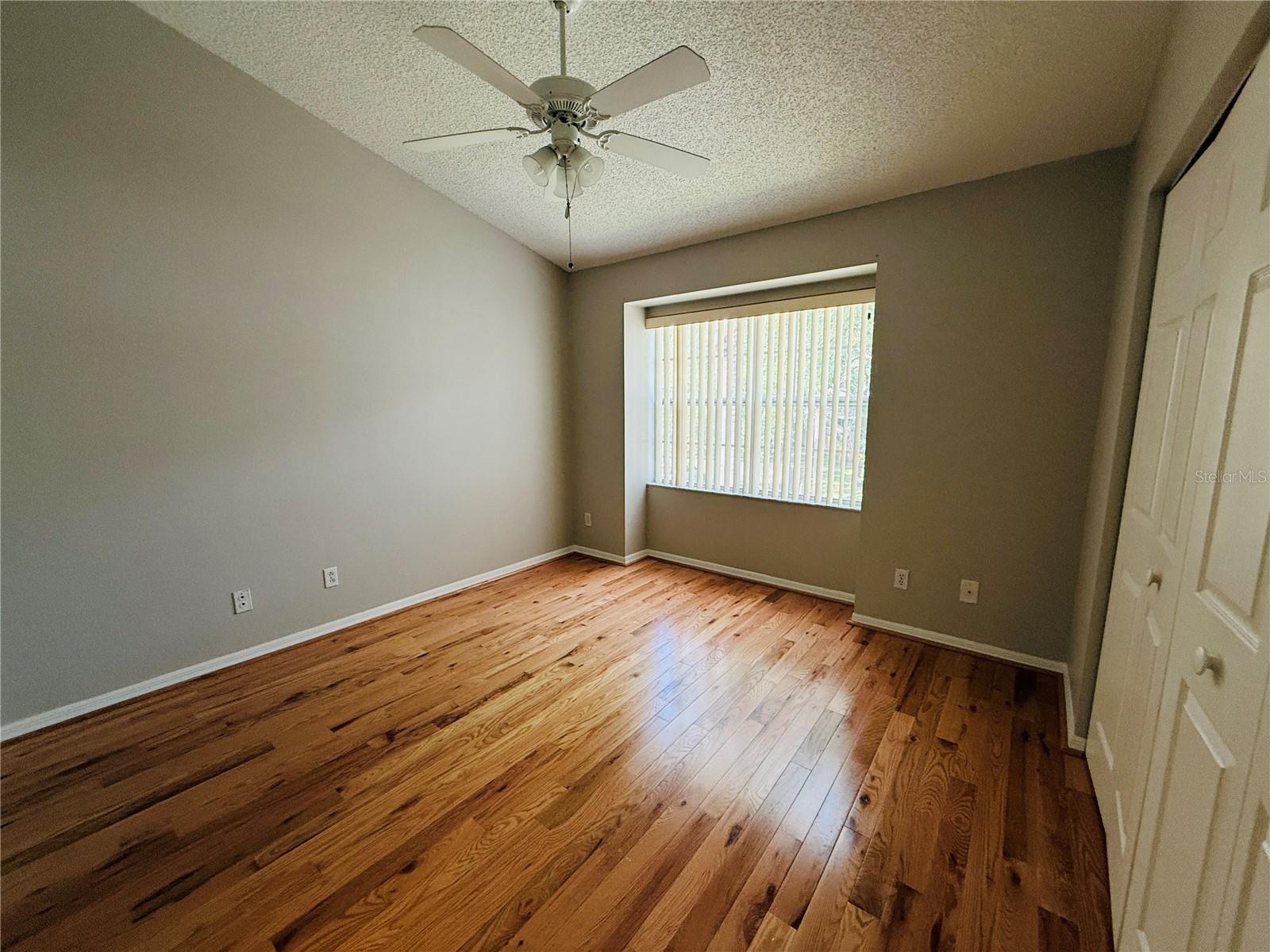 2843 THAXTON DR #38, PALM HARBOR, FL, 34684