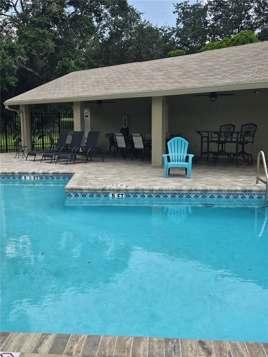 2843 THAXTON DR #38, PALM HARBOR, FL, 34684