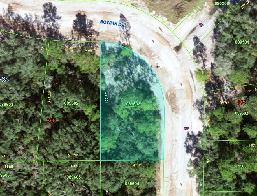 Inside Curve BOWFIN DR, POINCIANA, FL, 34759