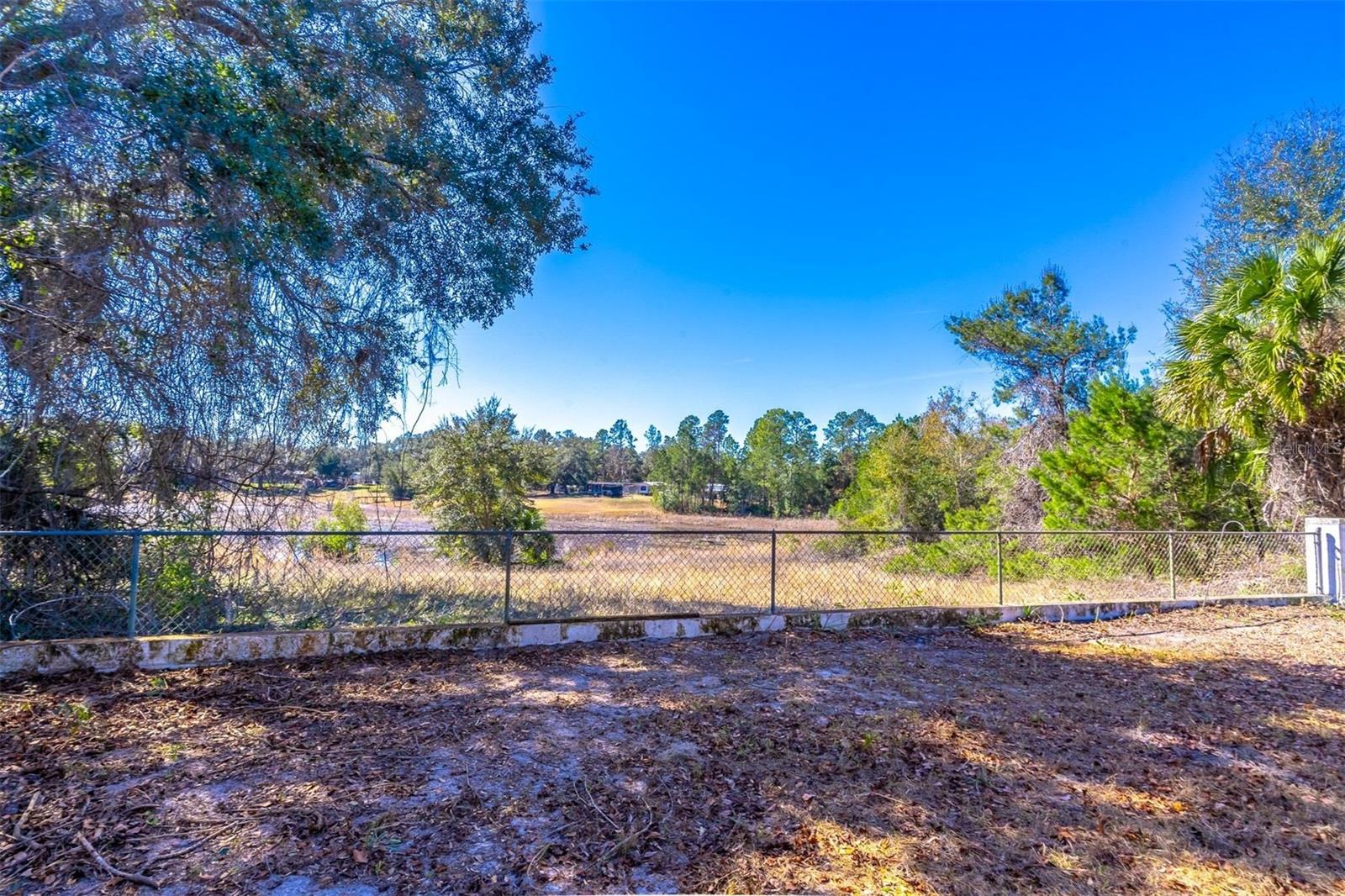 16880 SE 63RD LN, OCKLAWAHA, FL, 32179