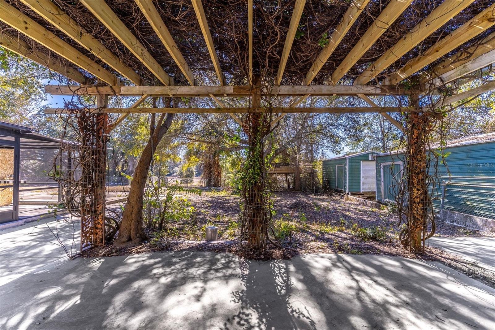 16880 SE 63RD LN, OCKLAWAHA, FL, 32179