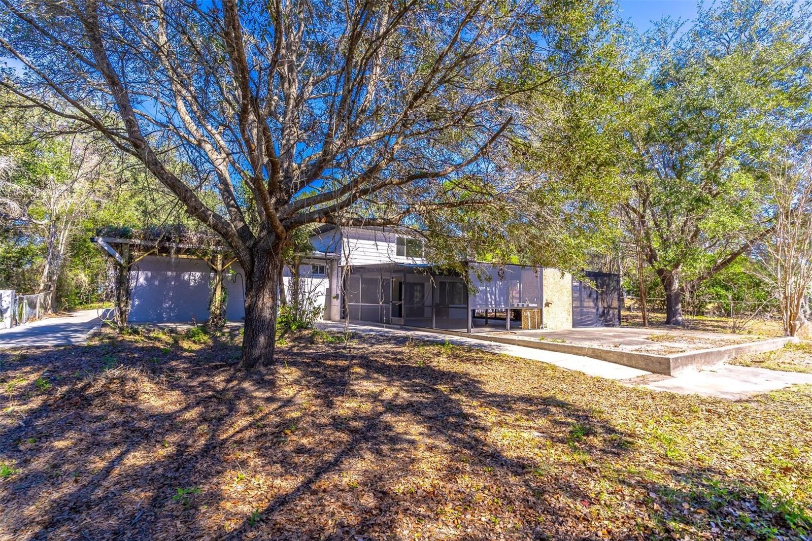 16880 SE 63RD LN, OCKLAWAHA, FL, 32179