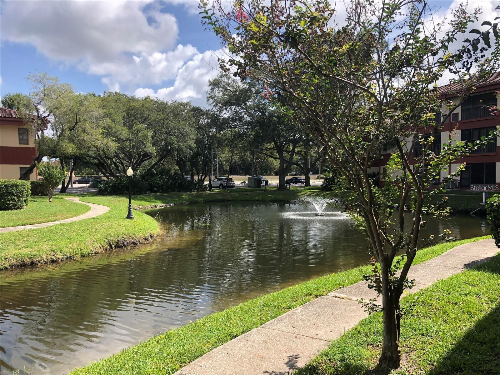 2650 COUNTRYSIDE BLVD #E103, CLEARWATER, FL, 33761
