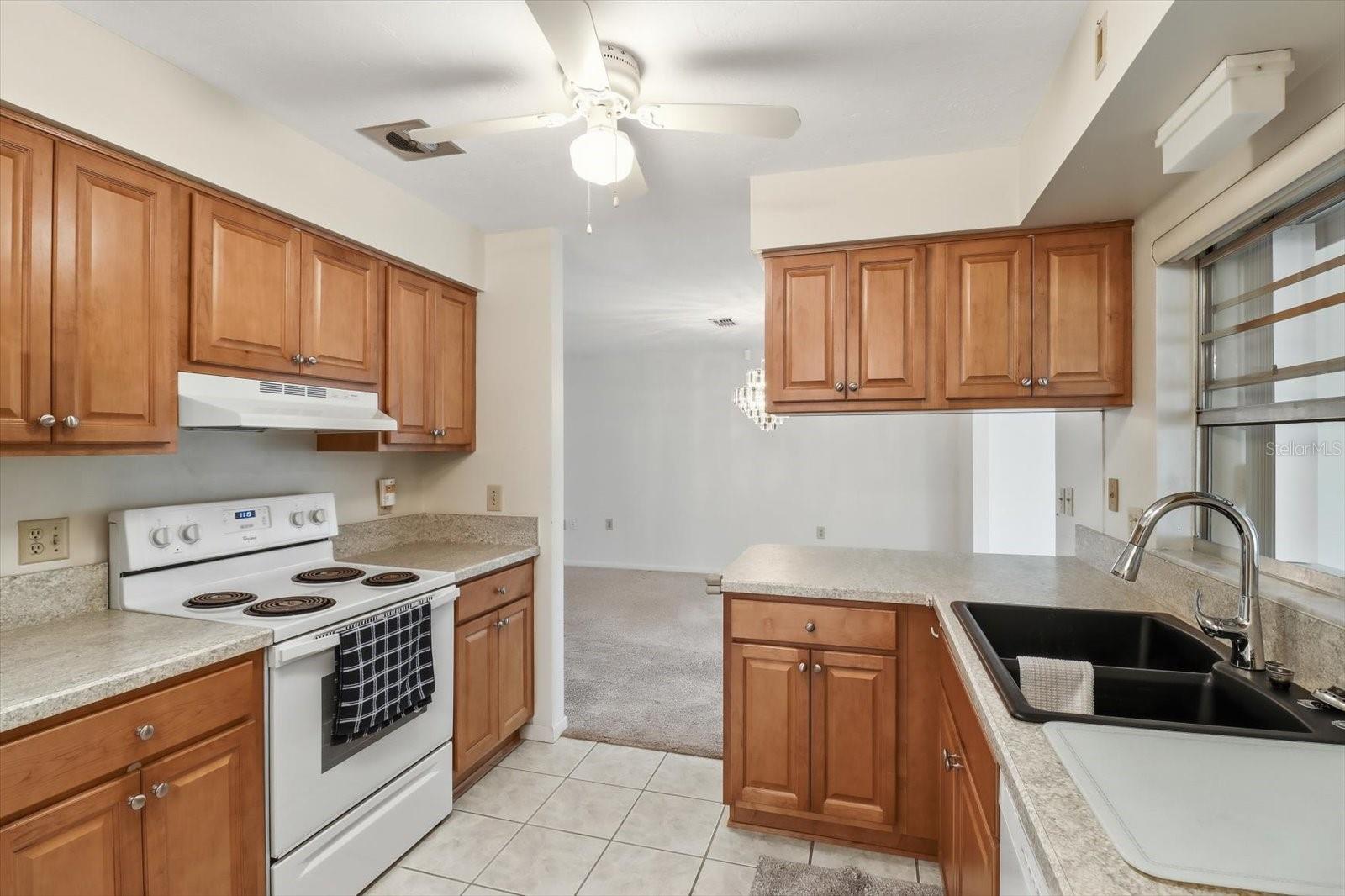 42 TRUMAN BLVD, BEVERLY HILLS, FL, 34465